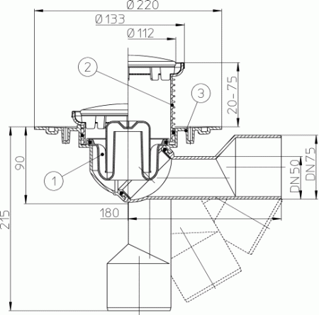 HL 80.1R ���� � ���������� �������� DN50/75